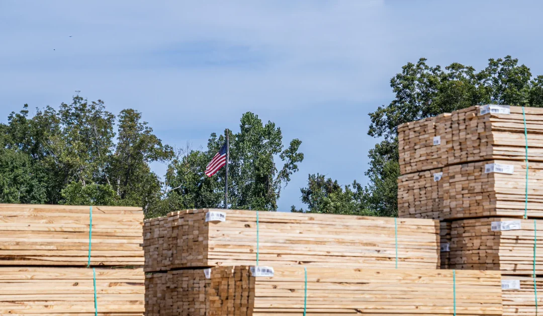 Southern Yellow Pine: Strength, Durability, and Beauty in Every Board!